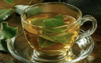 Bay Leaf Tea